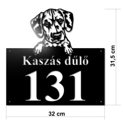 Dalmata p02